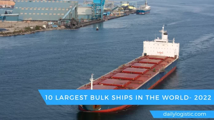 10 Largest Bulk Cargo Ships In The World- 2022_ Daily Logistic
