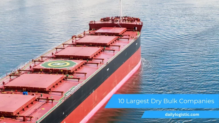 10 Largest Dry Bulk Companies in 2023